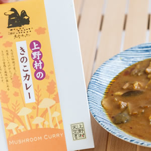 上野村のきのこカレー