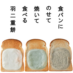 羽二重トースト