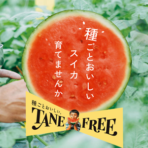 TANE FREE